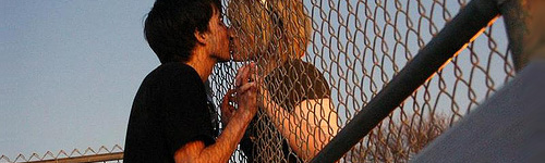 love through fence